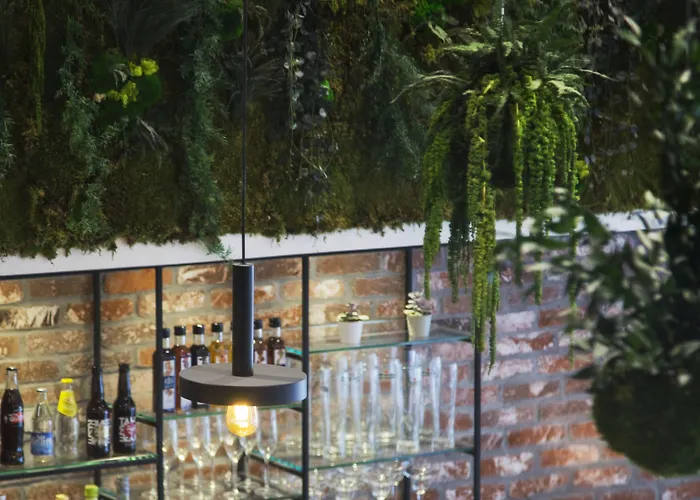 The Playce By Happyculture